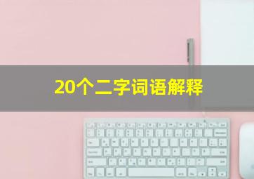 20个二字词语解释