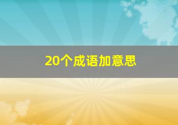 20个成语加意思