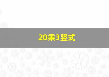 20乘3竖式