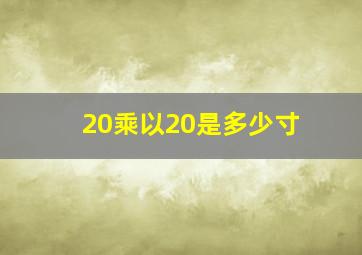 20乘以20是多少寸