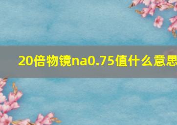 20倍物镜na0.75值什么意思