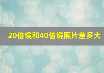 20倍镜和40倍镜照片差多大