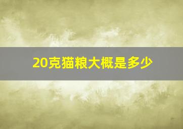 20克猫粮大概是多少