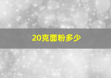 20克面粉多少