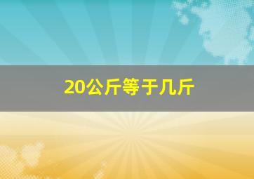 20公斤等于几斤