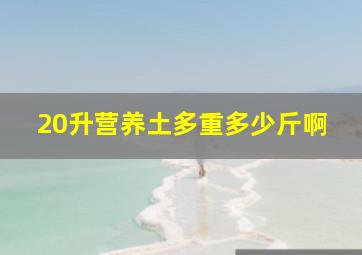 20升营养土多重多少斤啊