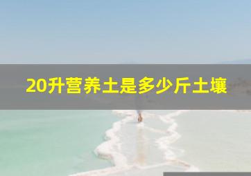 20升营养土是多少斤土壤