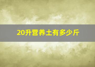 20升营养土有多少斤