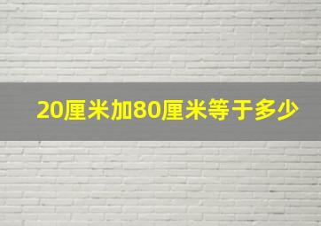 20厘米加80厘米等于多少