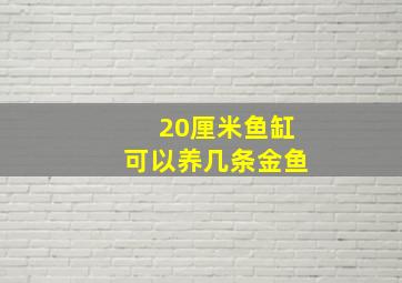 20厘米鱼缸可以养几条金鱼