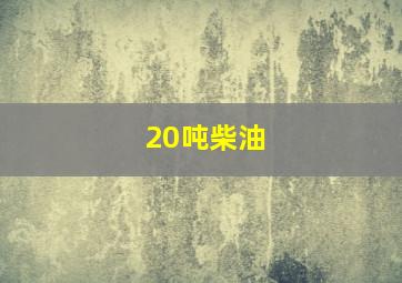 20吨柴油