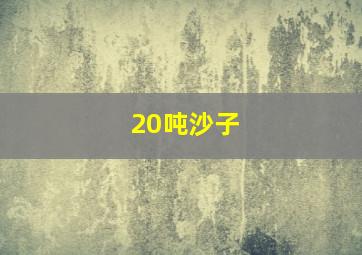 20吨沙子