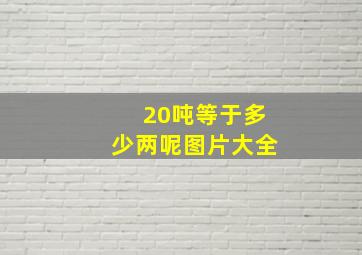 20吨等于多少两呢图片大全