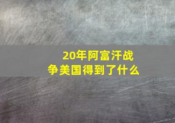 20年阿富汗战争美国得到了什么