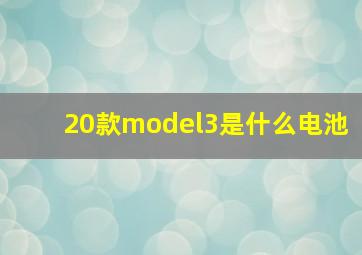 20款model3是什么电池