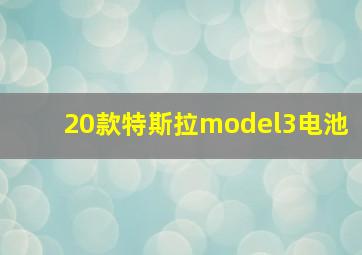 20款特斯拉model3电池