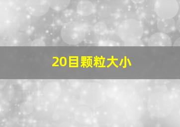 20目颗粒大小