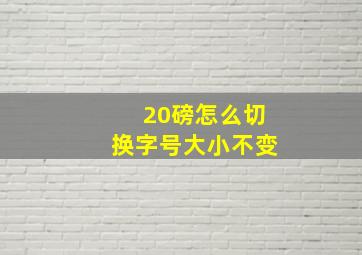 20磅怎么切换字号大小不变