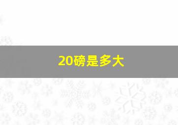 20磅是多大