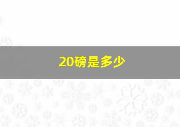 20磅是多少