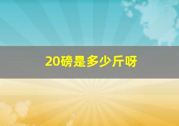 20磅是多少斤呀