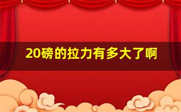 20磅的拉力有多大了啊