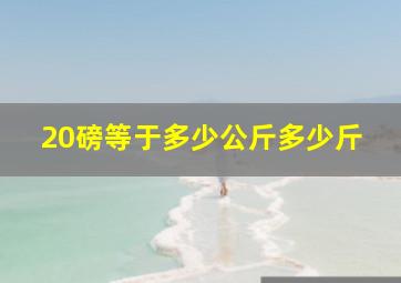 20磅等于多少公斤多少斤