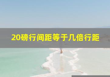 20磅行间距等于几倍行距