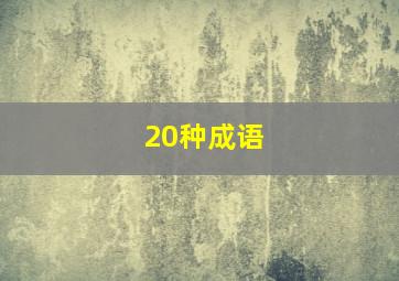 20种成语