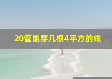 20管能穿几根4平方的线