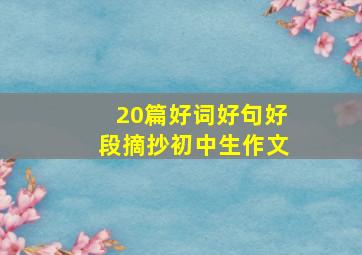 20篇好词好句好段摘抄初中生作文