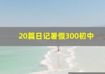 20篇日记暑假300初中