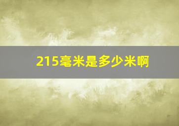 215毫米是多少米啊