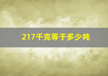 217千克等于多少吨