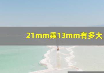 21mm乘13mm有多大