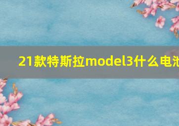 21款特斯拉model3什么电池