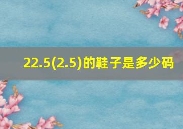 22.5(2.5)的鞋子是多少码