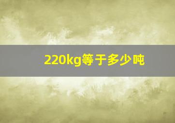 220kg等于多少吨