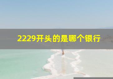 2229开头的是哪个银行