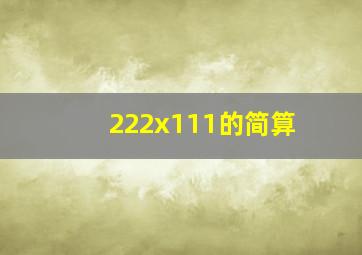 222x111的简算