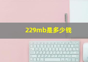 229mb是多少钱