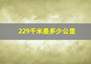 229千米是多少公里