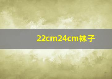 22cm24cm袜子