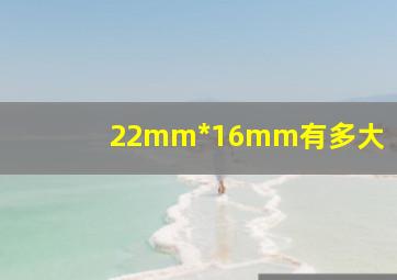 22mm*16mm有多大