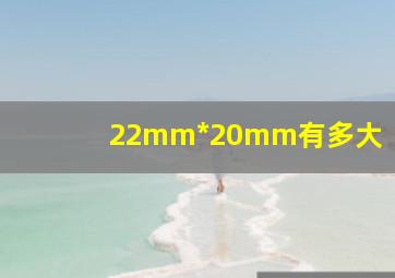 22mm*20mm有多大