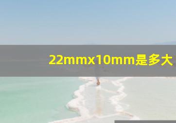 22mmx10mm是多大