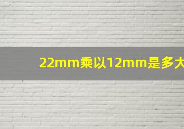 22mm乘以12mm是多大