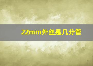 22mm外丝是几分管