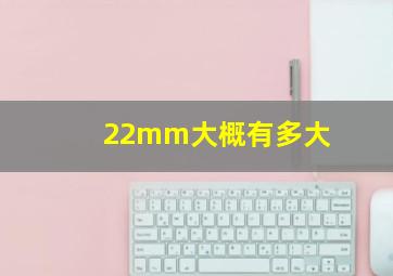 22mm大概有多大