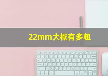 22mm大概有多粗